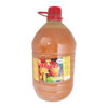 JUGO CONCENTRADO DAMASCO RICO (5 LT)